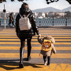 highlight_happy-sammies-eco-lifestyle-lion2 (png)